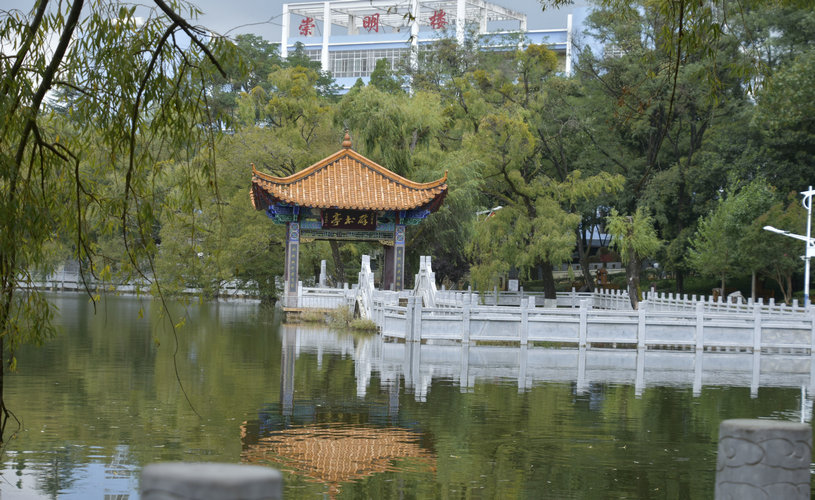 1642575709985862.jpg 宣威市第二中学校园一角_看图王.jpg