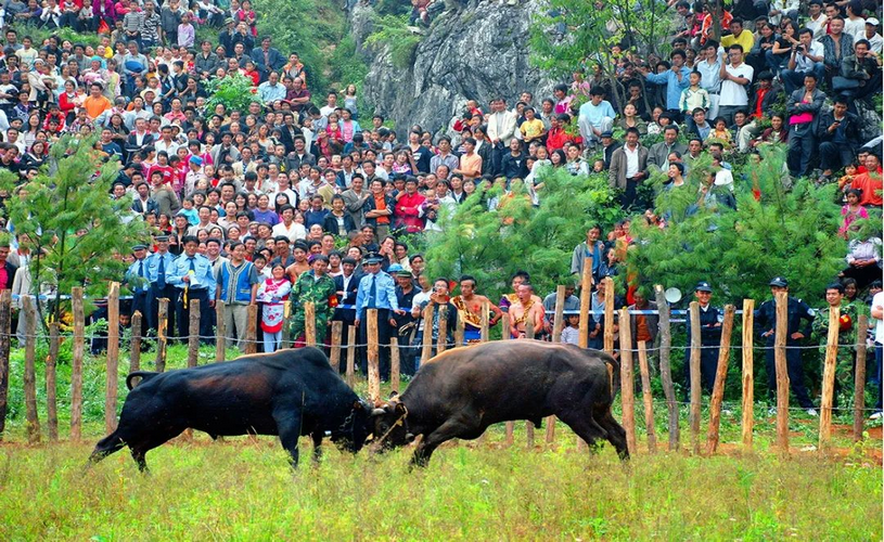 1691721388610446.png 图片6.png