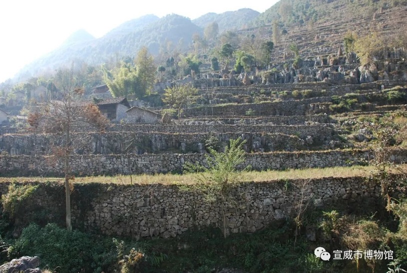 1705565519721210.jpg 640 (3).jpg