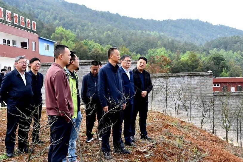 1714093472595756.jpg 640.jpg