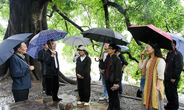 1715910243619163.jpg 2.jpg