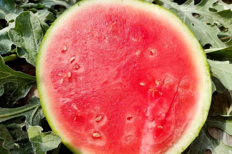 1718696276903177.jpg 640 (1).jpg