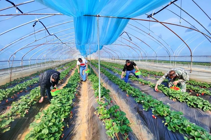 1718696286488850.jpg 640 (2).jpg