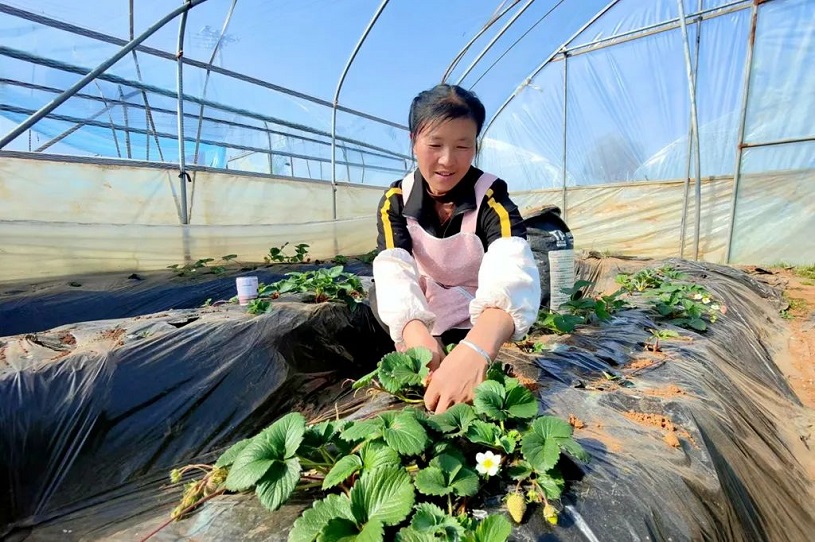 1718696294890785.jpg 640 (3).jpg