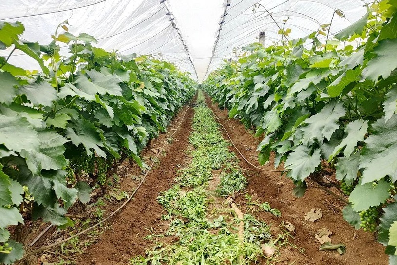 1718696302483627.jpg 640 (4).jpg