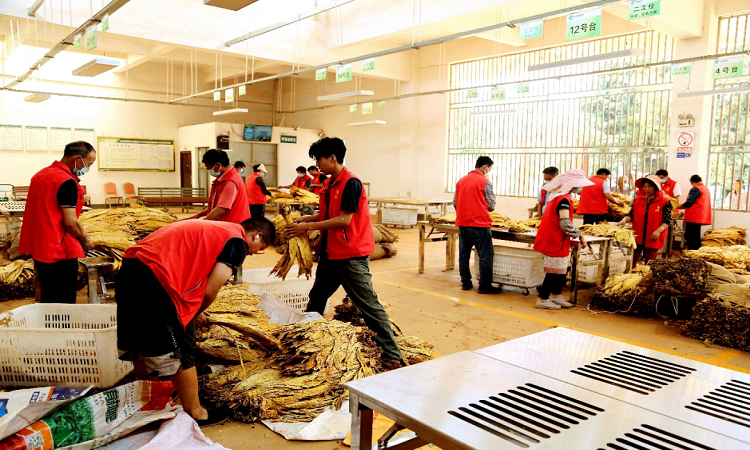 1728525474656005.png 1.png