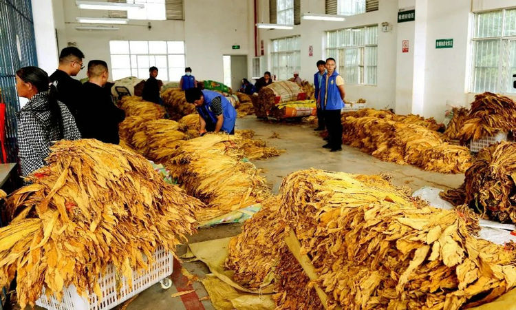 1728525482915117.jpg 2.jpg