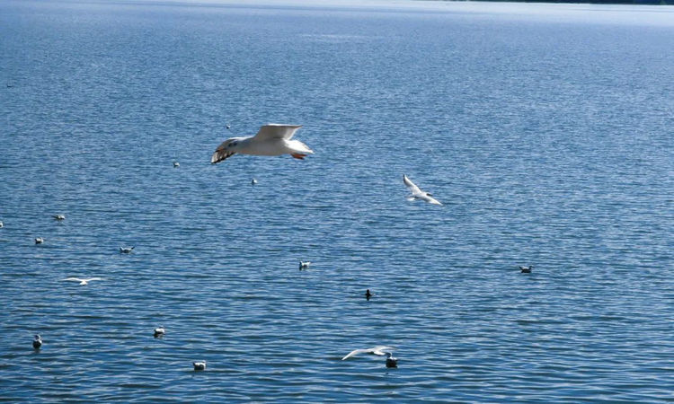 1731377992719705.jpg 1.jpg