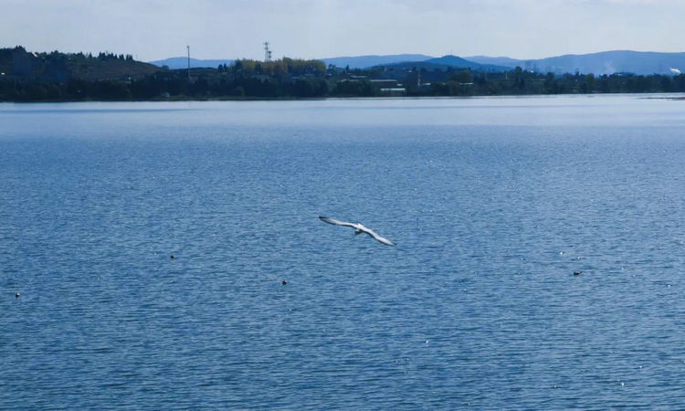 1731378020132237.jpg 2.jpg