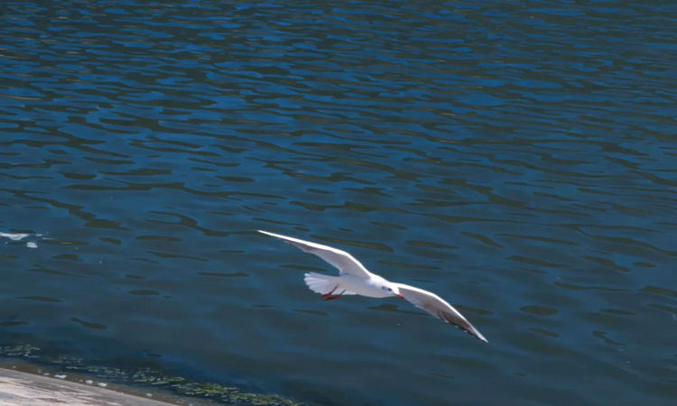 1731378033485873.jpg 3.jpg