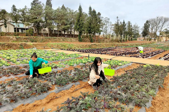 1742778006335383.jpg 4.jpg