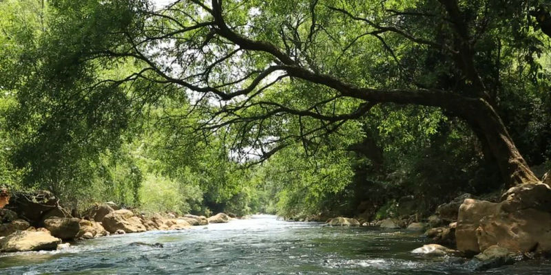 1750921335936079.jpg 4.jpg