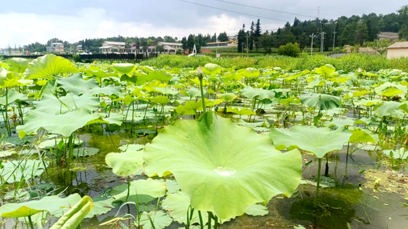 1754876342873405.png 2.png