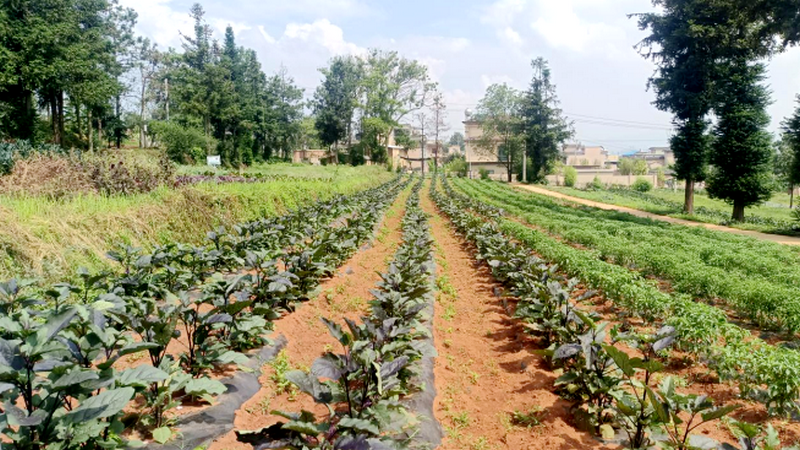 1754876351257829.png 3.png