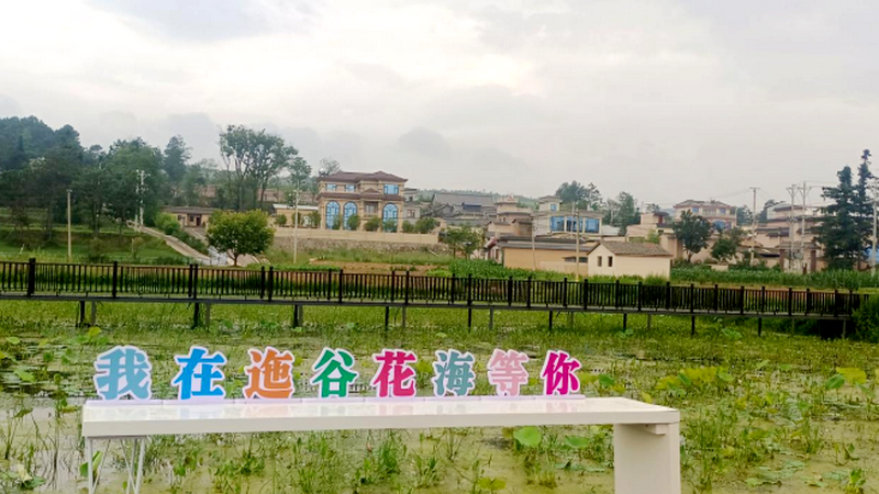 1754876485292915.png 9.png