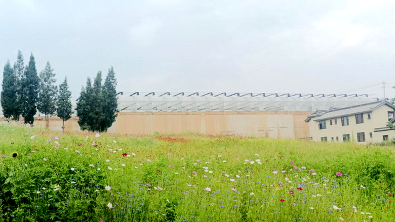 1754876518125078.png 10.png