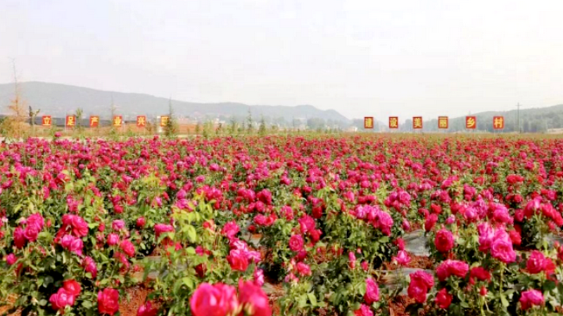 1754876523836888.png 11.png