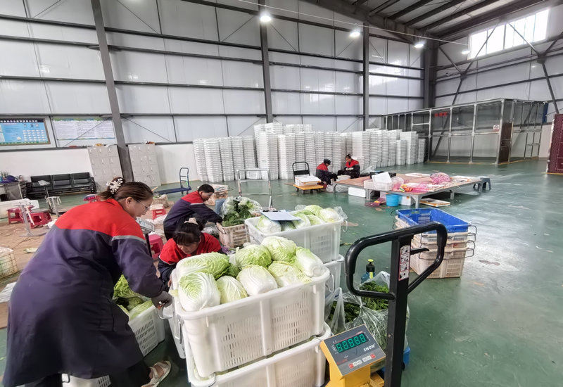 1758763713594201.jpg 冷链物流分捡车间.jpg