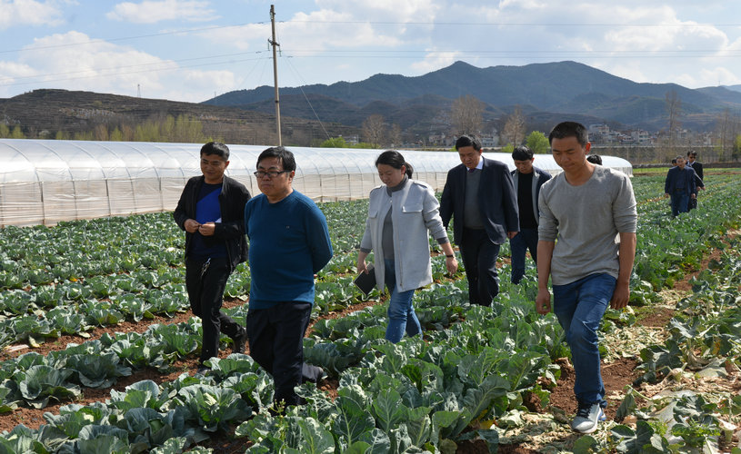 在安盛农业生态种植基地调研.JPG
