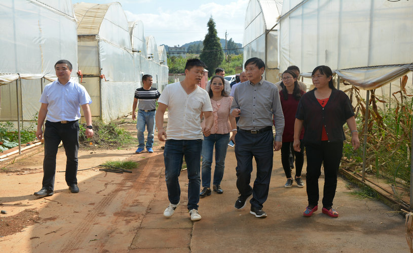 DSC_3257.JPG DSC_3257.JPG