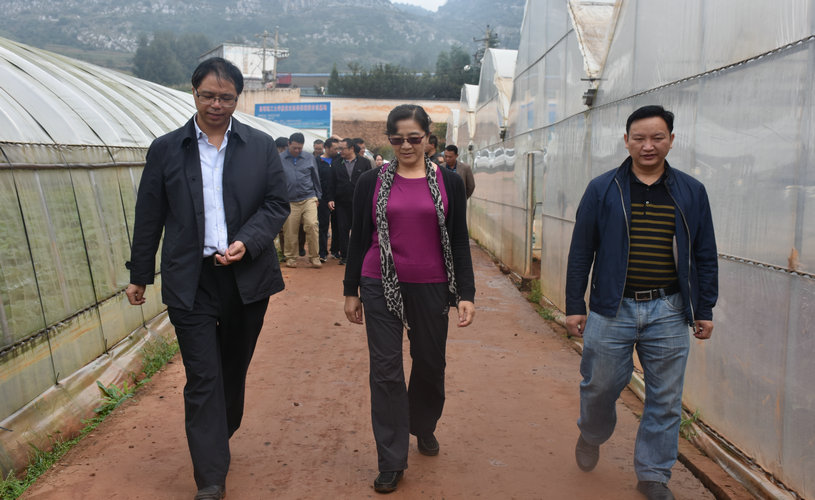 DSC_6064.JPG DSC_6064.JPG