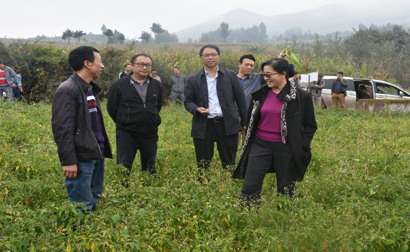 DSC_6050.JPG DSC_6050.JPG