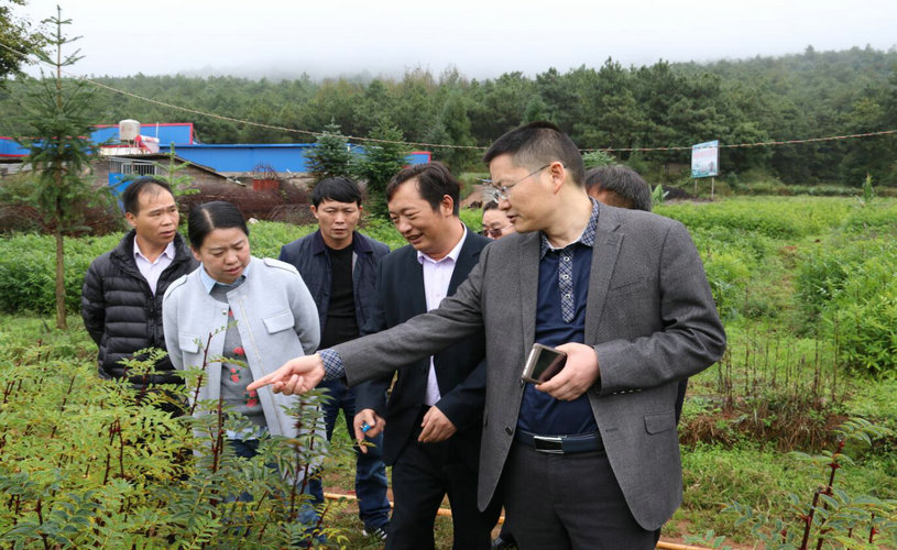 IMG_0897.jpg IMG_0897.jpg