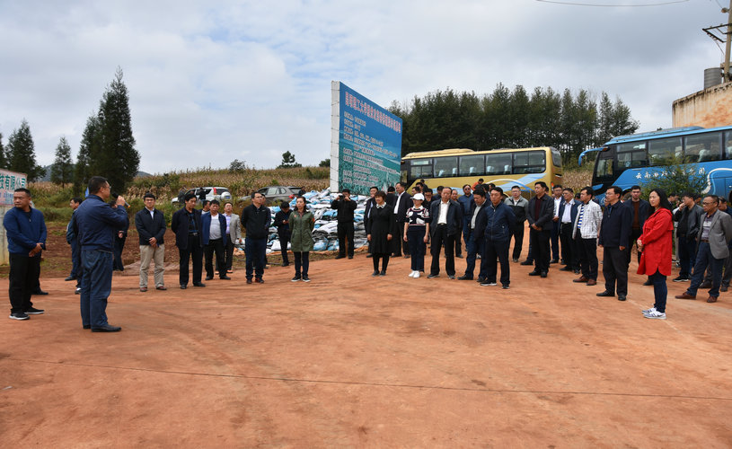 DSC_0535.jpg DSC_0535.jpg