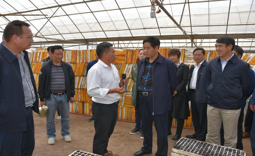 DSC_0553.jpg DSC_0553.jpg