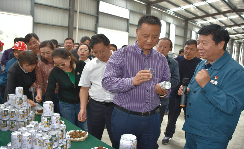 DSC_0593.jpg DSC_0593.jpg