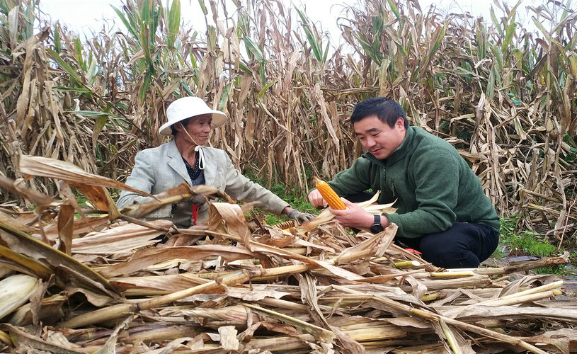 李龙斌到田间地块和群众同劳动话家常.jpg 李龙斌到田间地块和群众同劳动话家常.jpg