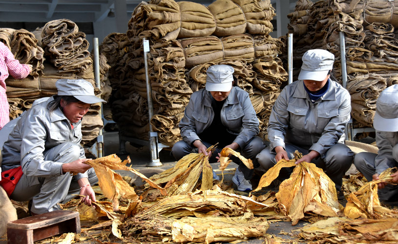 DSC_2799.JPG DSC_2799.JPG