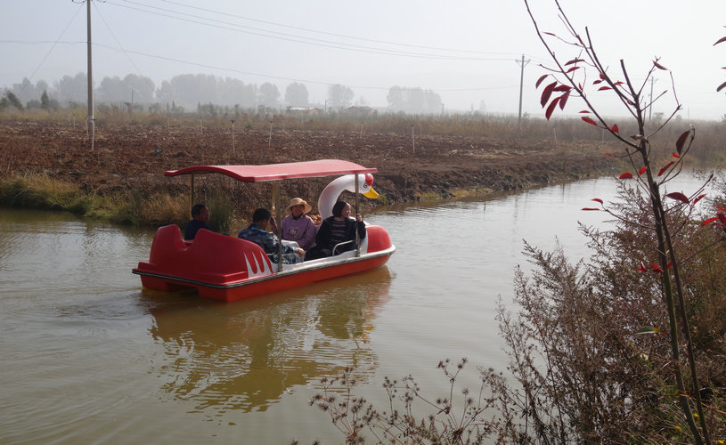 永安田园综合体的景观2.JPG 永安田园综合体的景观2.JPG