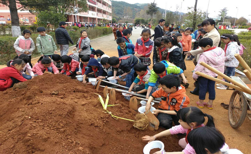 西宁街道靖外明德学校植树月活动 (4).jpg 西宁街道靖外明德学校植树月活动 (4).jpg